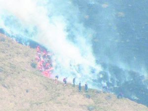 11154598_10205947306136299_2941993716713113392_o