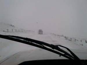 WHITE-OUT: Nightmare blizzard conditions