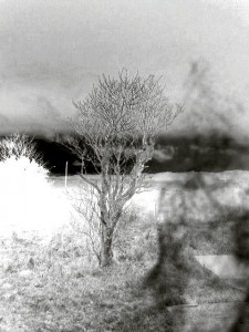 GHOSTLY: A woman kneeling at the grave