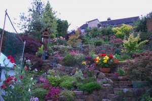 MEDIUM GARDEN: John and Margery Hall