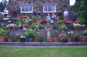 CONTAINER GARDEN: Ann Smith