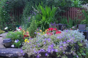 LARGE COMMUNITY GARDEN: Sheila Cronley
