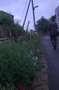 SMALL COMMUNITY GARDEN: Love Lydgate