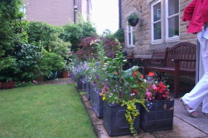 SMALL GARDEN: Edward Butterworth