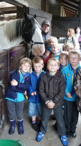 FARM LIFE: Beavers with Bob the horse FARM LIFE: Beavers with Bob the horse