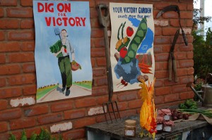 P20 - Dig for Victory 1