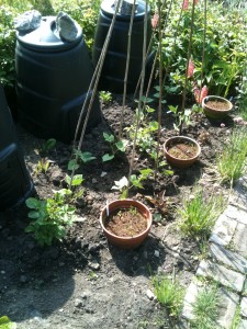 Photos by Andrew Oldham