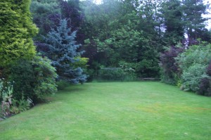 LARGE GARDEN: Norman Jolly