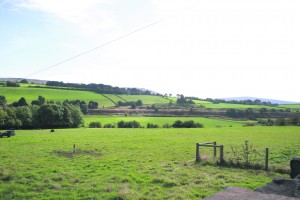 P3 Sadd School field