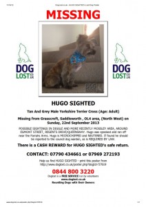 Hugo Sighted_001