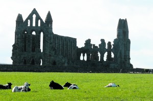 P23 Whitby 2