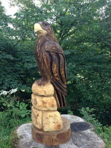P6 eagletheft