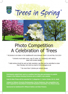 P23 trees poster 2_001