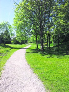 p4 fruit route Station Street02