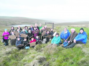 p28 framing the landscape (3)