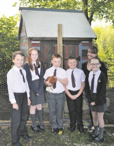 p17 Diggle Primary (4)