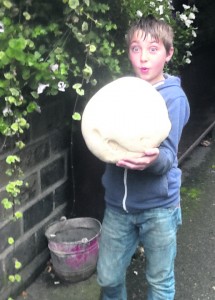 p15 george's giant puffball