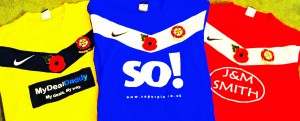p16 diggle fc poppies for kits
