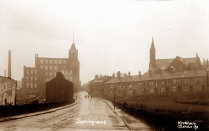 Springhead