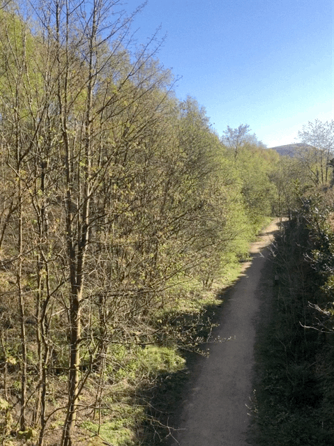Pennine bridleway