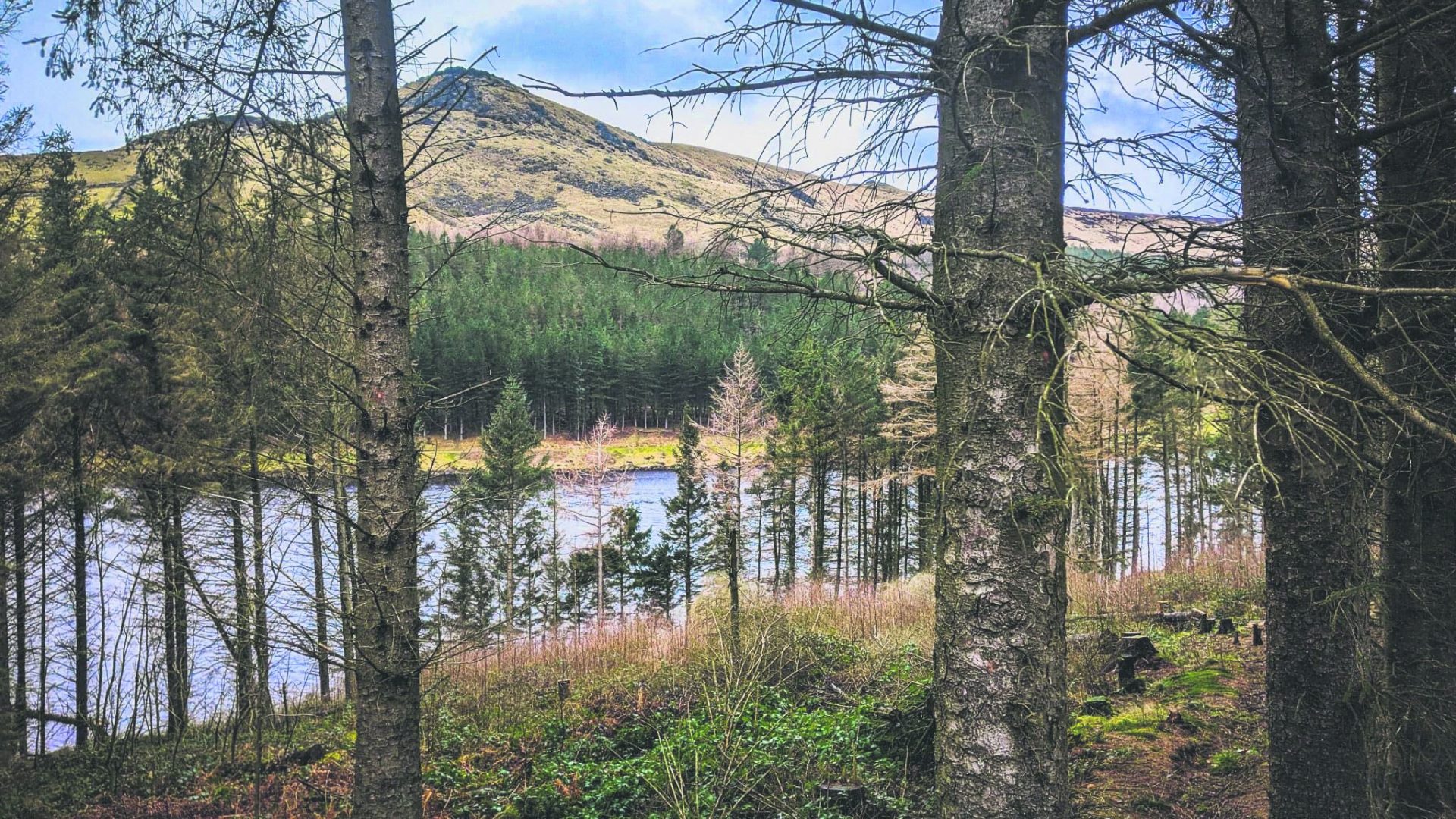 Walk this waySaddleworth on the map for long distance trail
