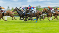 Tips for Following UK Horse Racing Meetings Like a Pro