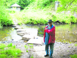 p20 stepping stones